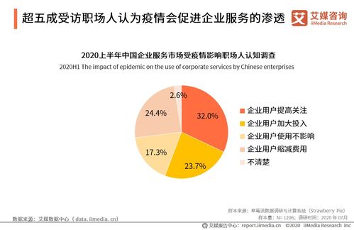 艾媒咨詢2020上半年中國(guó)企業(yè)服務(wù)發(fā)展全景報(bào)告 信息咨詢服務(wù)成為增長(zhǎng)引擎