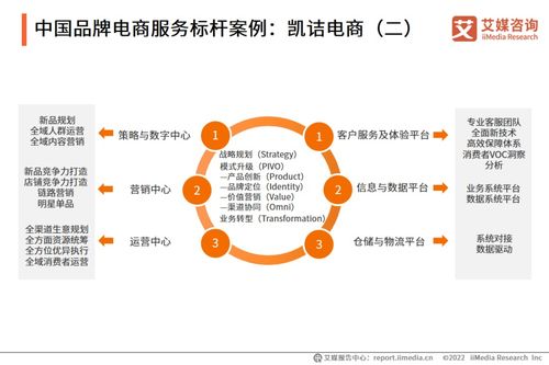 2022年中國(guó)品牌電商服務(wù)行業(yè)研究報(bào)告 信息咨詢服務(wù)深度解析